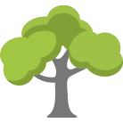 Norman Tree Trimming Service
