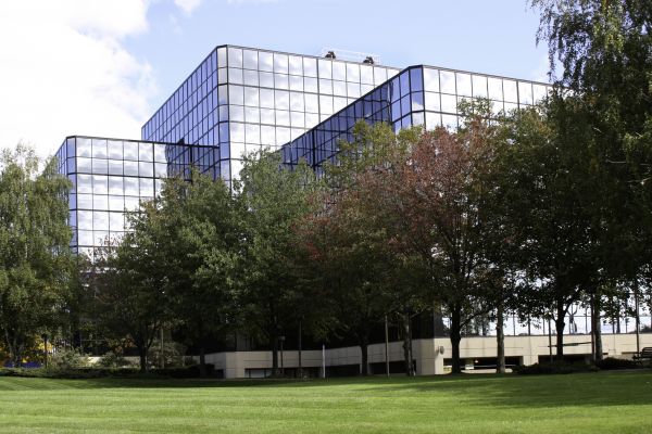 Commercial Tree Trimming in Norman